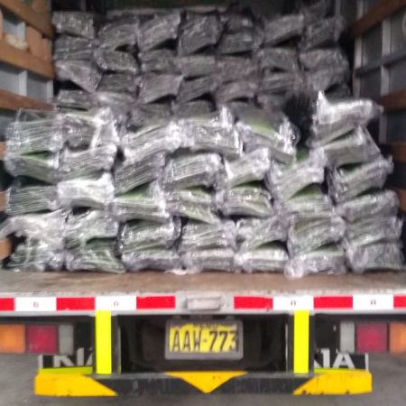 Transporte de carga y Mudanza