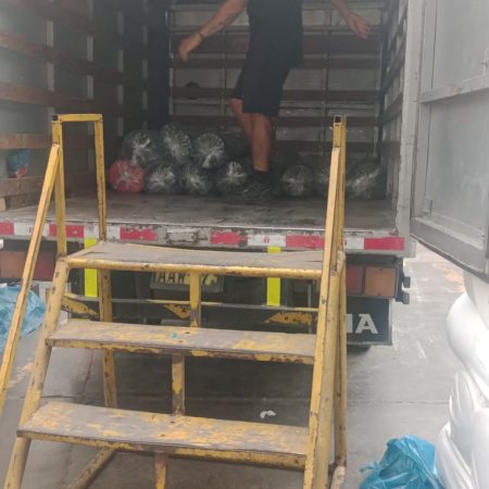 Transporte de carga y Mudanza