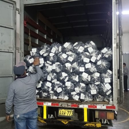 Transporte de carga y Mudanza